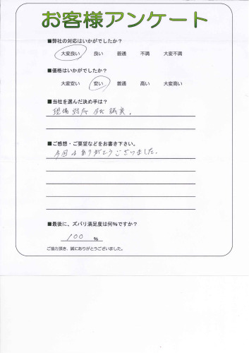 θ̾Ų̶衡