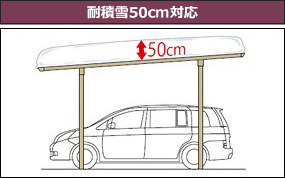 50cmб
