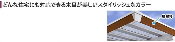 ɤʽˤбǤܤåʥ顼