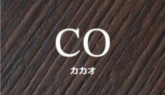  CO