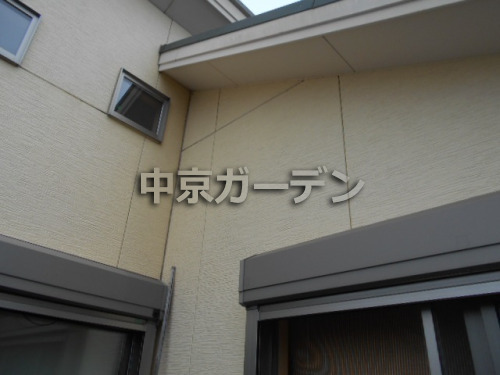 ܹ