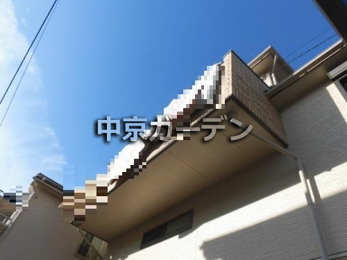 ܹ