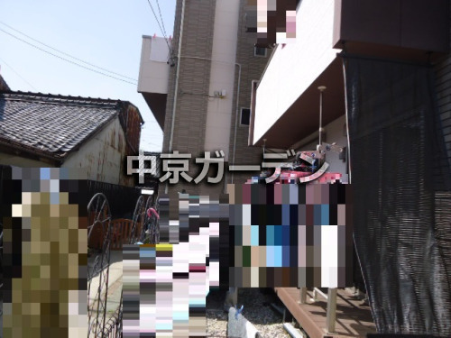 ܹ