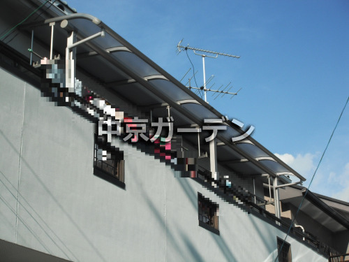 ٥ 쥮顼ƥ饹 2 R벰 ʪ ¸ʪ