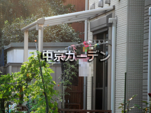  YKKAP ƥ饹(٥) 1 FեåȲ ʪ