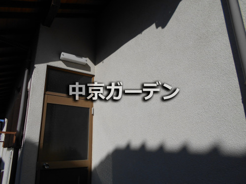 ܹ