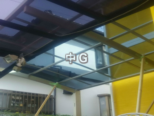 ݡ ץ饤ݡ 1(ñ) R벰 ԥå