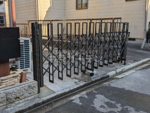 ο֥饦
